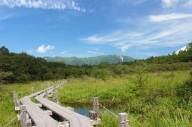 �W��1230���ߐ{�́w�����������x�Ɛ�i�w�[�R�_���΁x�̋L���T���l�C��