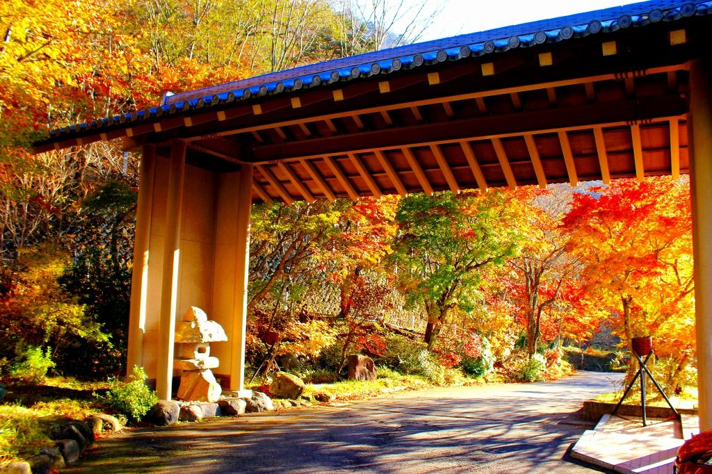 風光明媚な美しさ！栃木を代表する自然スポット「中禅寺湖」