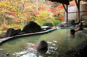 ��i�I�铒����I�V���C�̔��l�̓��I�������򌳓��w����فx�̋L���T���l�C��