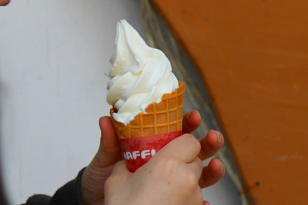 日本に約200頭ほどの”ガーンジー牛乳”で作ったソフトクリームは絶品！