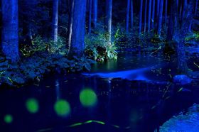 �u�ߐ{�t�B�b�V�������h �ق���̂�v�͌����u�ƕ��ƌu�̗��������z�I�I�̋L���T���l�C��