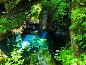 幻の「おしらじの滝」へ！那須塩原 秘境スッカン沢と桜沢で３滝巡り