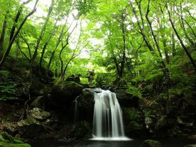流れる風が気持ち良い栃木「県民の森」で滝と渓流散歩を楽しもう