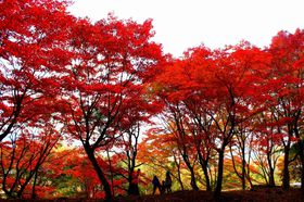 �g�t�̖����E��������I�������Ă���������i�X�|�b�g�͂������̋L���T���l�C��