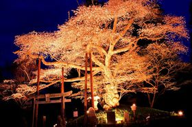 Ȗ،uߐ{삪v_Iȓ`̎RƌÑ̖̋LTlC