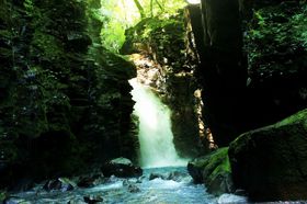 ���e�����I�ߐ{�����̔鋫�u�X�b�J����v�ꏄ�肪�ʔ����̋L���T���l�C��