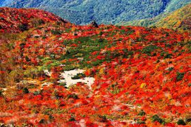 �֓��Ő�ΊO���Ȃ��g�t�����I�ߐ{�����Ő�i�o�R���y���񂶂Ⴈ���I�̋L���T���l�C��