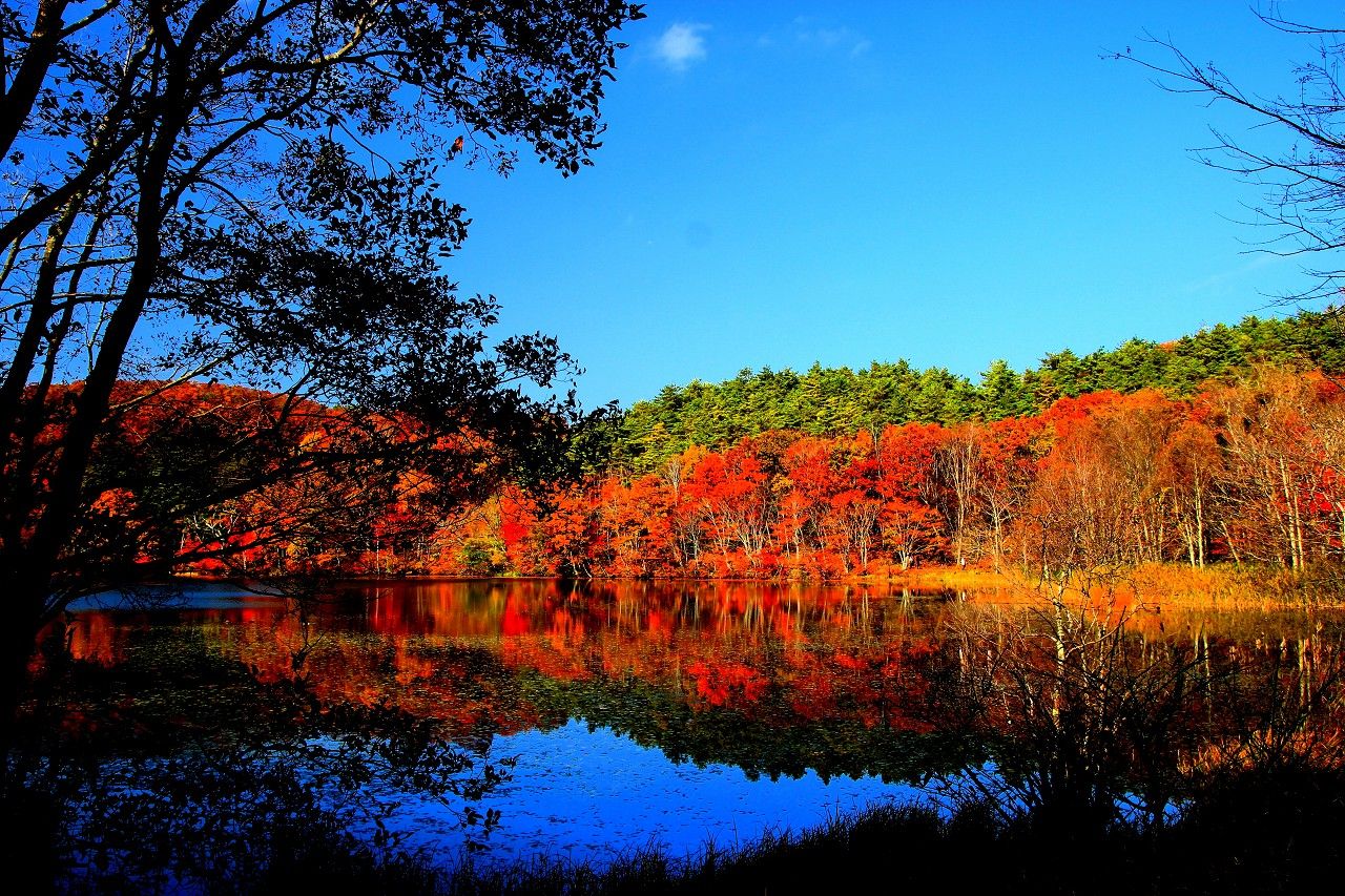 鏡のような沼の水面に映る紅葉が絶景！「観音沼森林公園」（福島）
