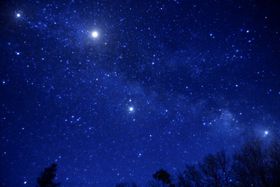 ߐ{̐ƍRAyށu}EgW[Y ߐ{Shv̋LTlC