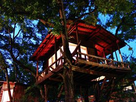 乃木坂４６MVの舞台「おだぎりガーデン那須」は野趣あふれるツリーハウスが魅力