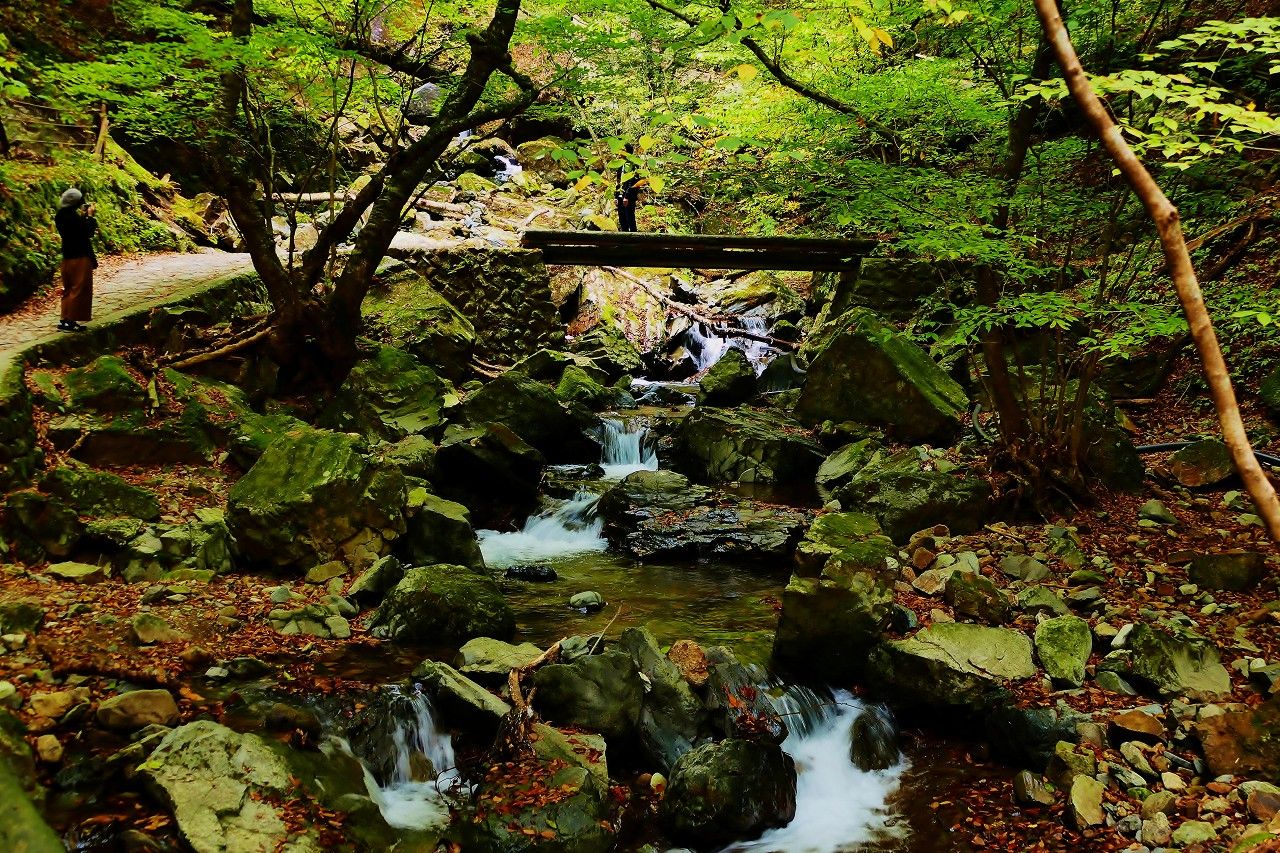 ړĂ̑̎Oɂ́A̑ȗvoI