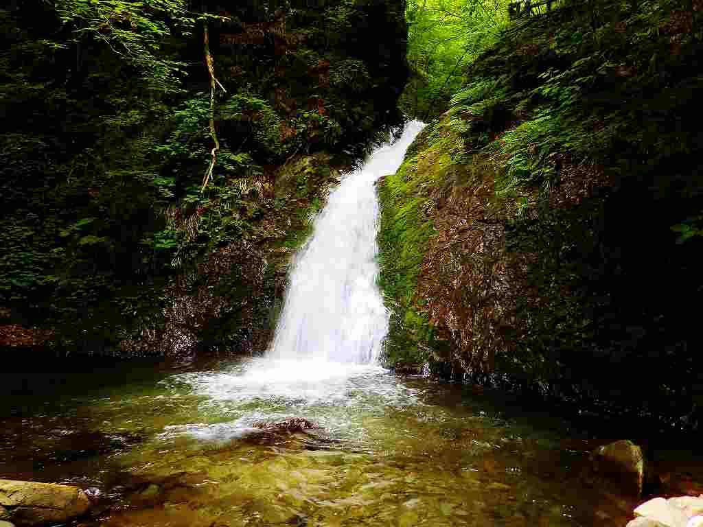 ړĂ̑̎Oɂ́A̑ȗvoI