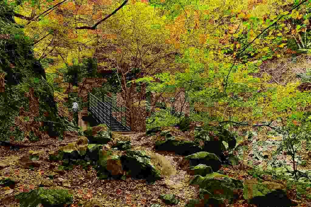 ړĂ̑̎Oɂ́A̑ȗvoI