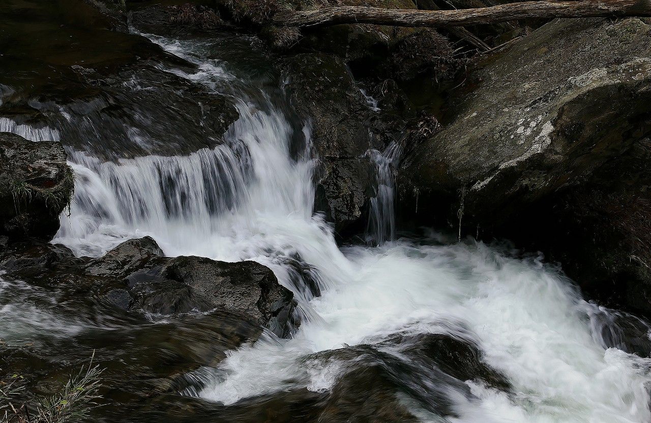 u]c̑Vvŏ㕔ɂut̑v