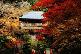 Ȗ،̂ߍgtX|bg10I gt̃bJōsȂRRIy2024z̋LTlC