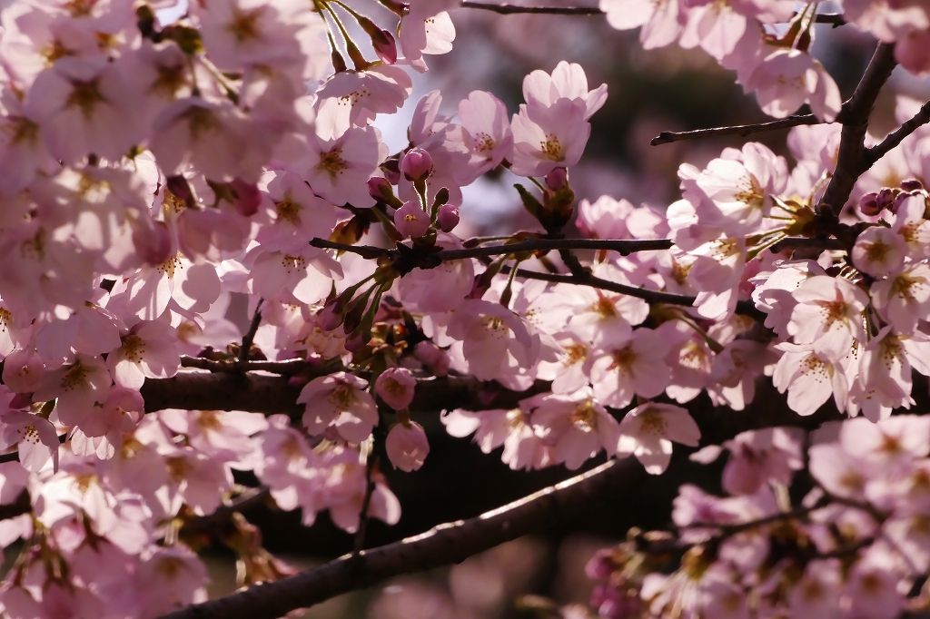 Ƒ݂ȂŊy߂GX̂ՂI