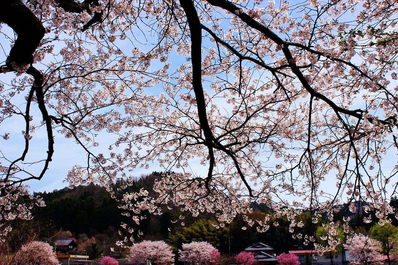 隬ӂ̖̍nOȂI