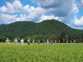 痣Ă̂тUIs̖͂͏HFiɂ̋LTlC