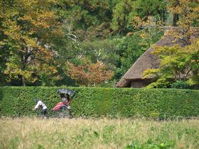 京都嵯峨野で出会える“小さい秋”！爽秋の特選風景５景