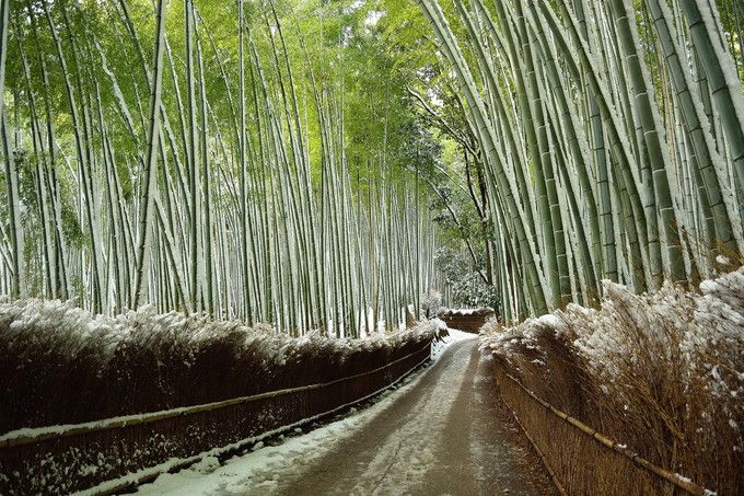 �߂��́u�n�����v�A�u�|�т̓��v�̐�i�F���A�������Ȃ���