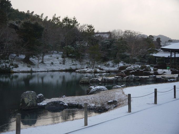 ���R���،i�Ƃ��鑂���r�뉀