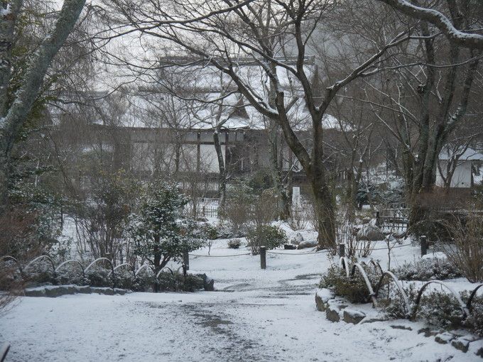 ��̓��ł��Ԃ̍炭�V�����S�ԉ�