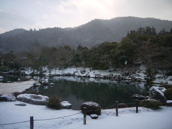 ���R���،i�Ƃ��鑂���r�뉀