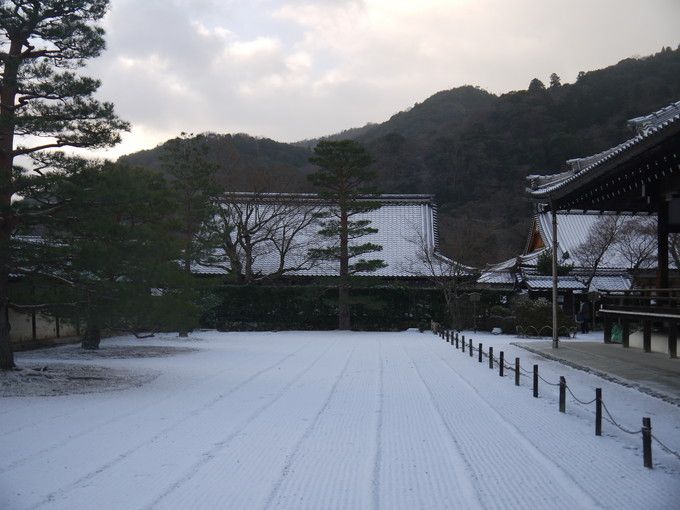 �^�~�̓V���������͌����ȕ��͋C�ɖ�������Ă���