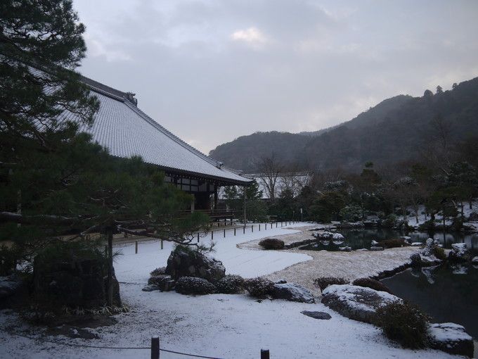 ���R���،i�Ƃ��鑂���r�뉀