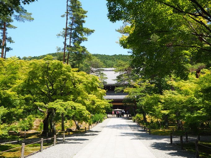 4�D��T���^���s�s