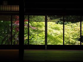 ݂̕iIsuTvĂ̌ǂ끕͂̋LTlC