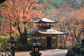 sEX݁u㒹{vgt߂TI̋LTlC