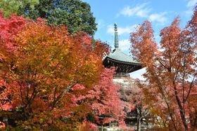 s߉ޓiyj͍gtȂǎlG̕iEśI̋LTlC