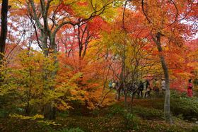 s̊u߉ޓvt߂ł߁IIgtX|bg̋LTlC