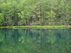 ���ȍ����u��ˎ��r�v�̎l�G�͌���l�̐S���Ƃ炦�閼���i�̋L���T���l�C��