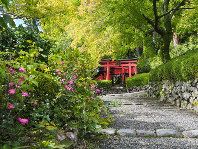 ̑̋G߂ԌiF̌ǂ낢ςI