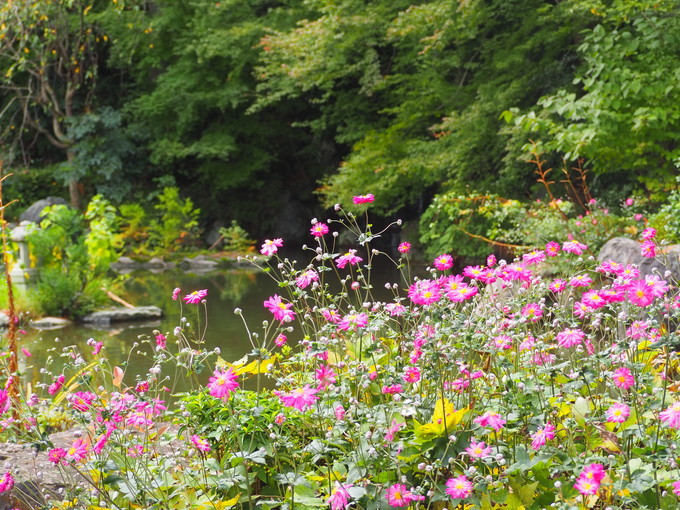 ̑̋G߂ԌiF̌ǂ낢ςI