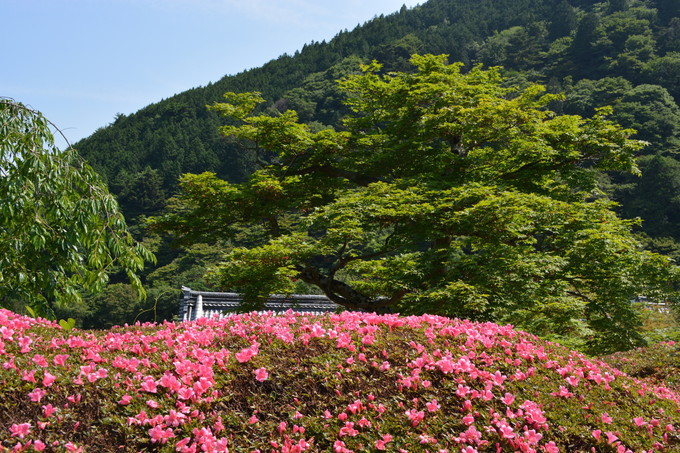 ̑̋G߂ԌiF̌ǂ낢ςI