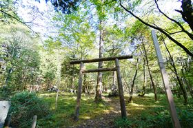 ���󂪐����I�V�炾�炯�̃p���[�X�|�b�g�A�Ȗ؁E�Õ��_�Ёi�ӂ�݂˂��񂶂�j�̋L���T���l�C��