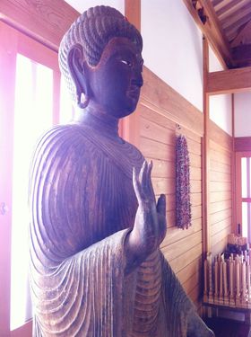 �ԍՂ�̓��A�ȕ����ɏo�����I���̃I�X�X�����@�T�I�̋L���T���l�C��