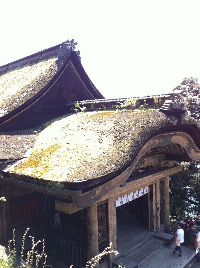 国宝の宝厳寺「唐門」は幻の大阪城の遺構？！