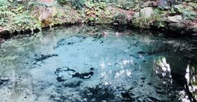 �G�������h�u���[�ɋP���_��̃p���[�X�|�b�g�I���u��_�Ёv�̋L���T���l�C��