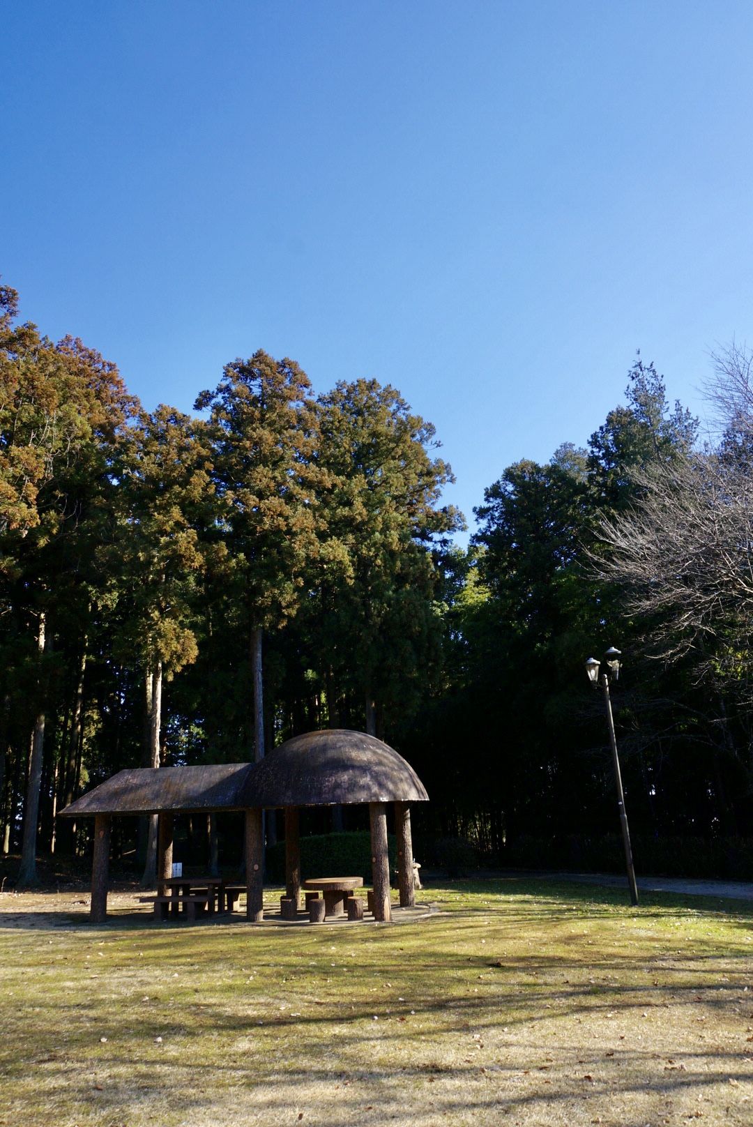 茨城のインスタ映えスポット「くれふしの里古墳公園」で日本一大きなはにわに登ろう！ 茨城県 LINEトラベルjp 旅行ガイド