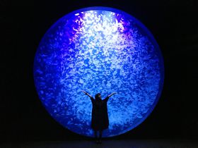 ΐقȂIR`߉ŃtHgWFjbNq̋LTlC