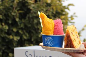 dBԕɐVaI炮݂̃t@VbvuSciofSciofv̋LTlC