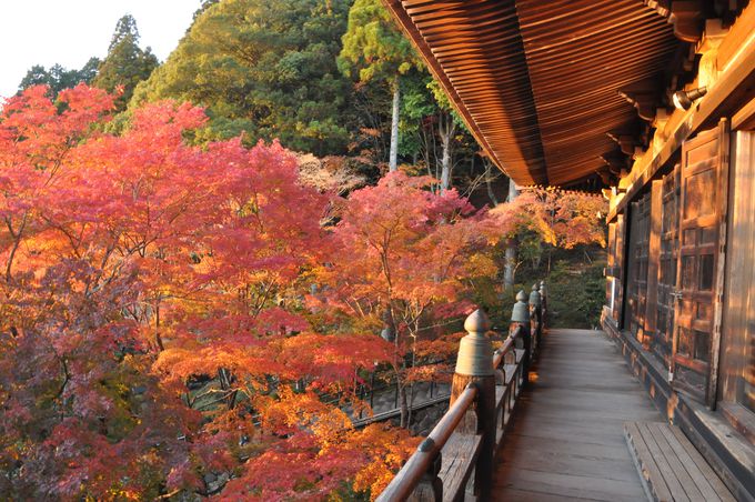 北播磨を代表する紅葉スポット！播州清水寺で晩秋を満喫すべし！