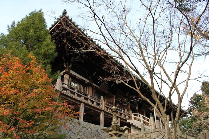 北播磨を代表する紅葉スポット 播州清水寺で晩秋を満喫すべし 兵庫県 Lineトラベルjp 旅行ガイド