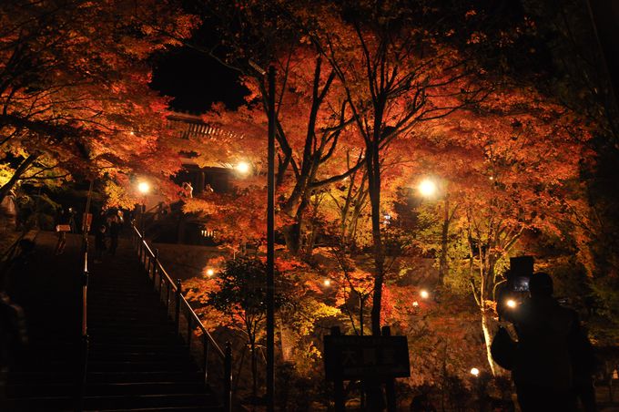 北播磨を代表する紅葉スポット 播州清水寺で晩秋を満喫すべし 兵庫県 Lineトラベルjp 旅行ガイド