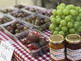 Ɉx̐ԕu}VFviƎd̕iACu͂̋LTlC