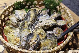 dBԕEzp]ށuǂ炭vŉyOă``KI̋LTlC